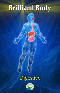 Digestive11x17 300 dpi