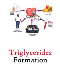 triglycerides